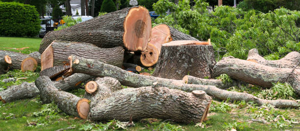 Best Arborist Consultation Services  in Grand Mound, WA